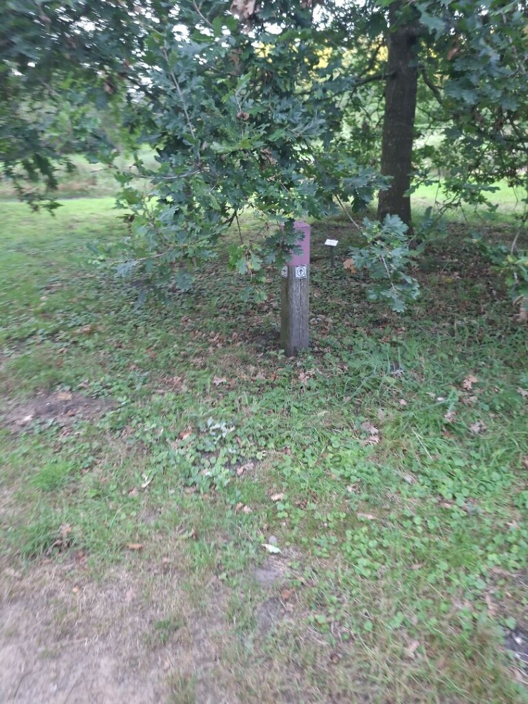 Arboretum bomenpark wandeling