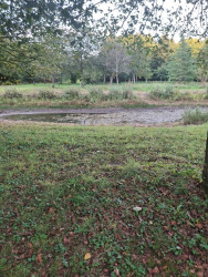 Arboretum bomenpark wandeling