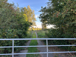 Útwaai-kuier Koufurderrige
