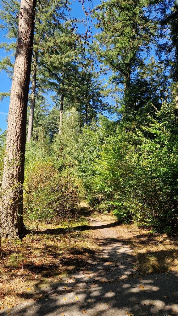 Wandelroute In het spoor van de mammoet