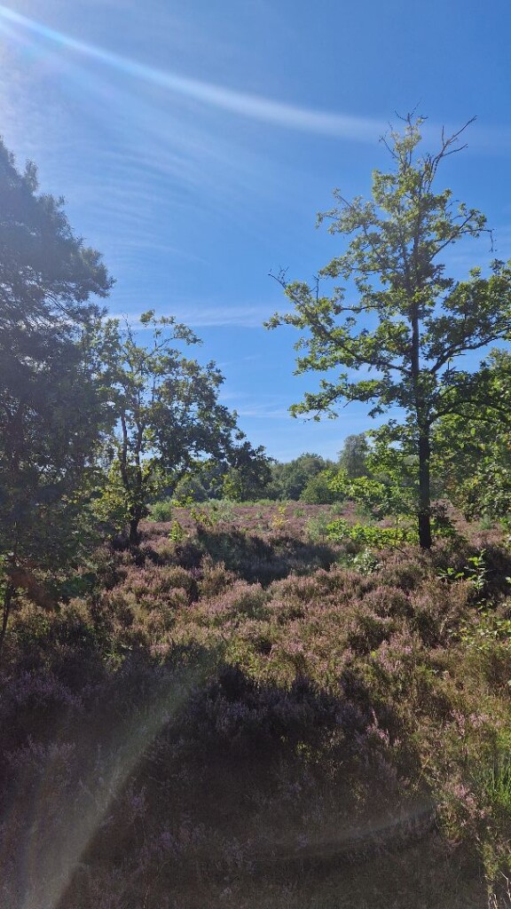 Wandelroute In het spoor van de mammoet
