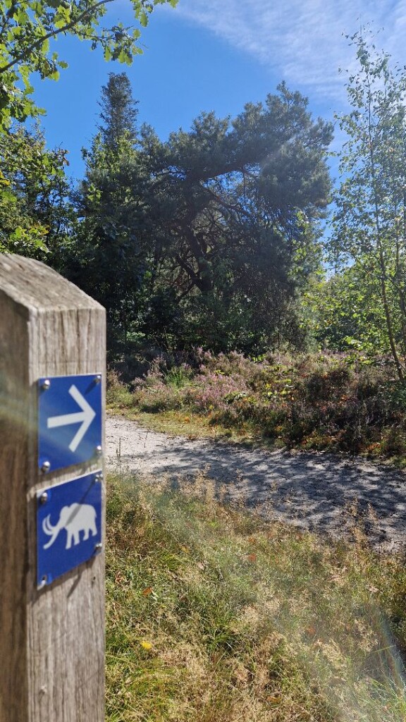 Wandelroute In het spoor van de mammoet