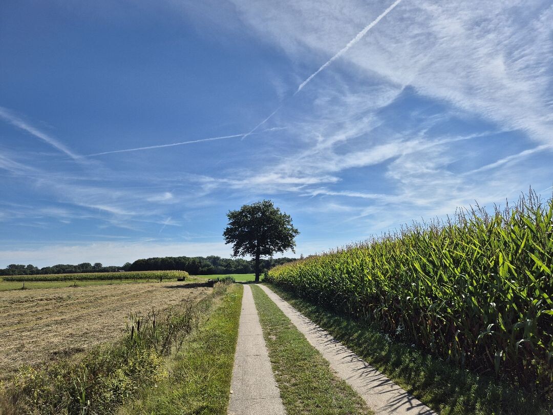 Losser - Lutterzand · Dinkelpad etappe 2