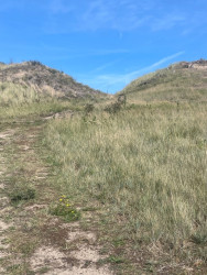 IJmuiden naar Castricum - "Een zee van staal" · NederRandpad etappe 68