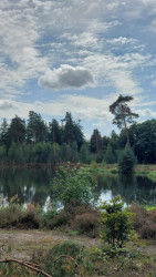 Heerde - Gortel · Roots Natuurpad etappe 17