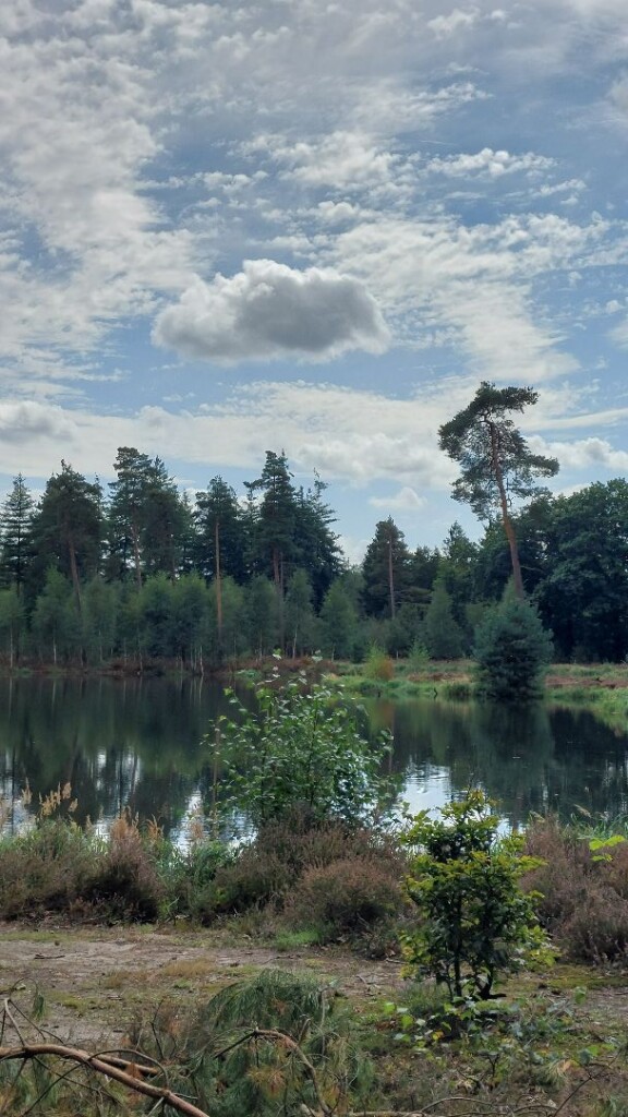 Heerde - Gortel · Roots Natuurpad etappe 17