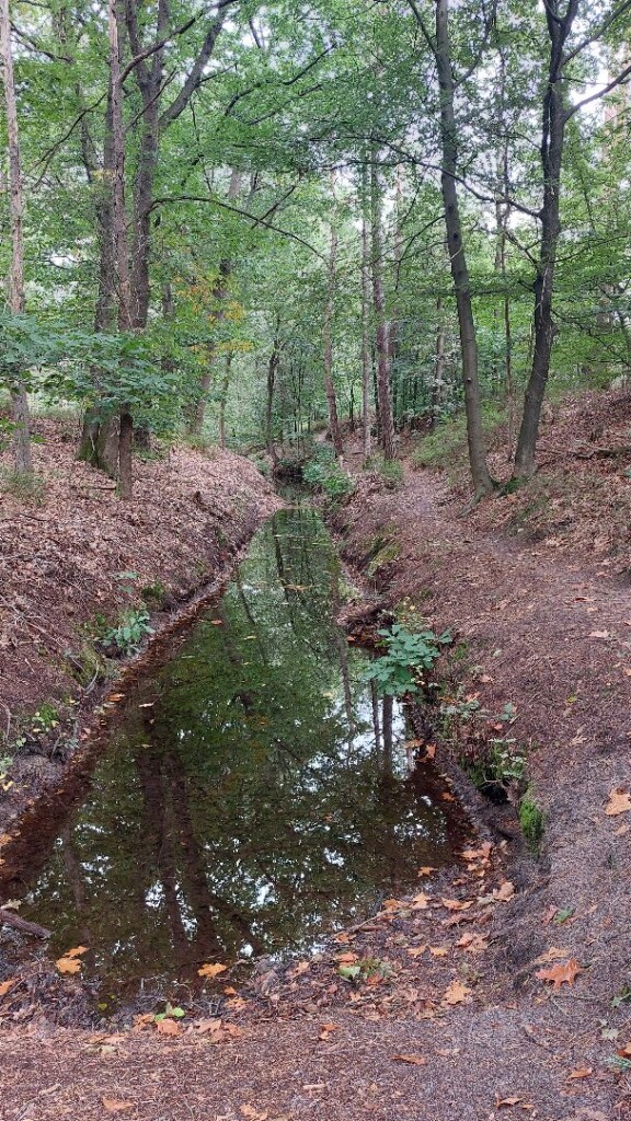 Heerde - Gortel · Roots Natuurpad etappe 17