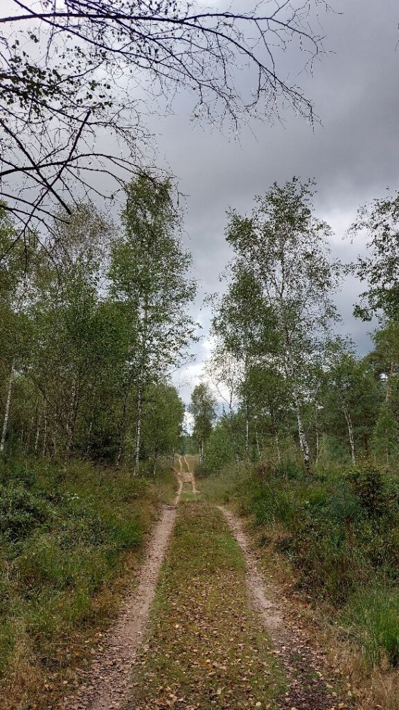 Gortel - Apeldoorn · Roots Natuurpad etappe 18