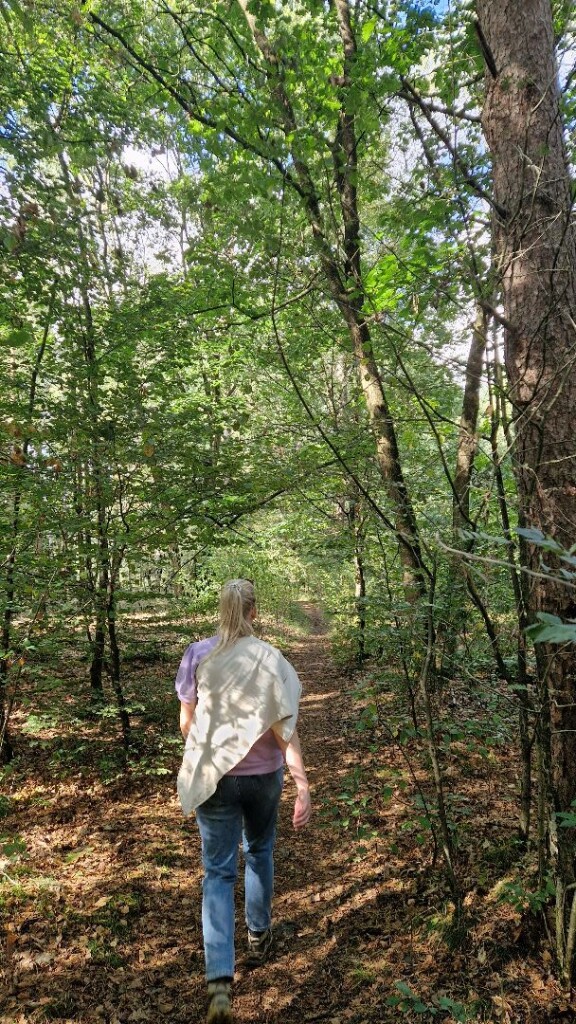 Wandelroute Vosseven Sleenerzand