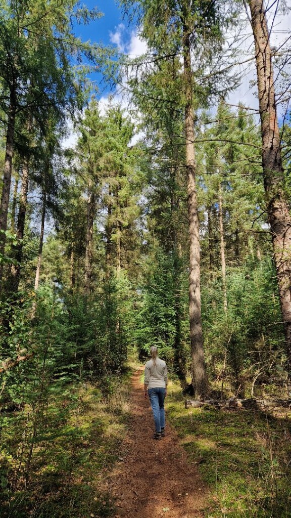 Wandelroute Vosseven Sleenerzand