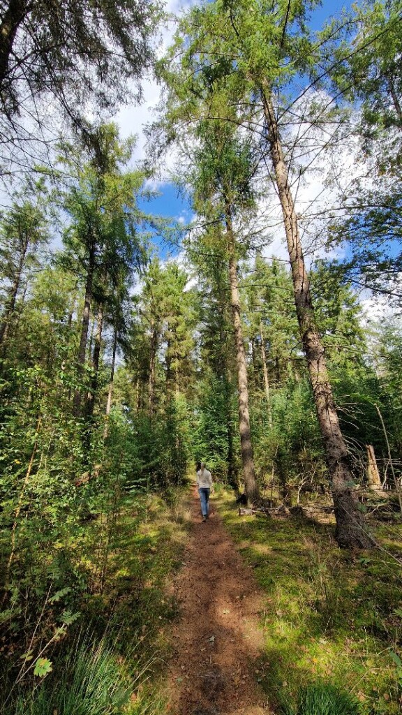 Wandelroute Vosseven Sleenerzand