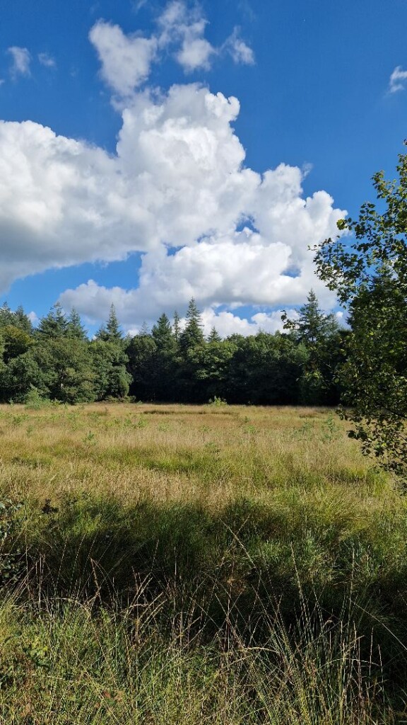 Wandelroute Vosseven Sleenerzand