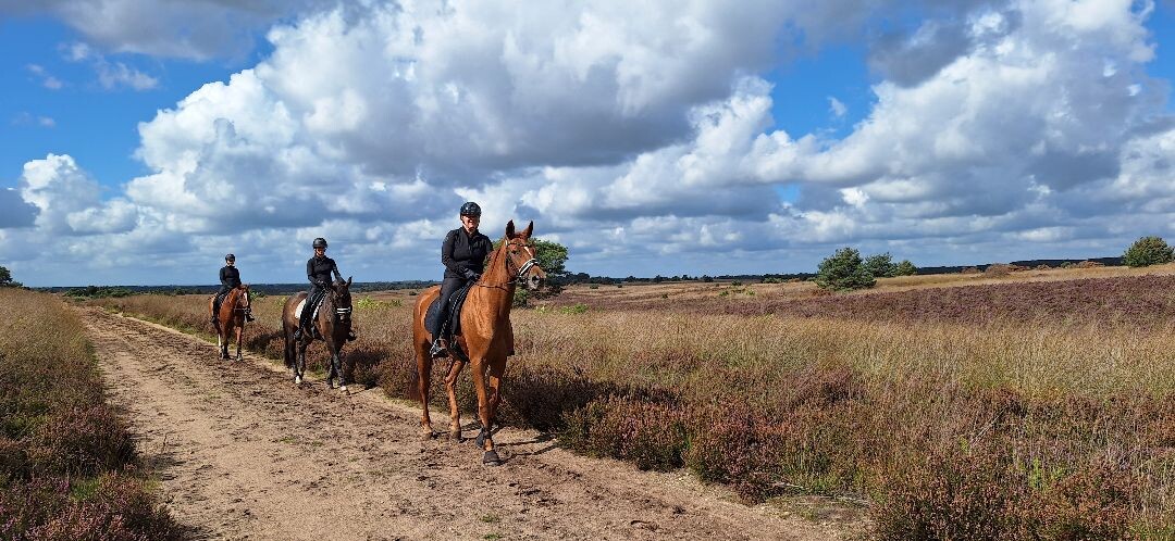 Apeldoorn - Hoenderloo · Roots Natuurpad etappe 19