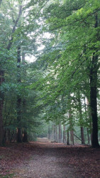 Apeldoorn - Hoenderloo · Roots Natuurpad etappe 19