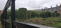 Stadswandeling Groningen