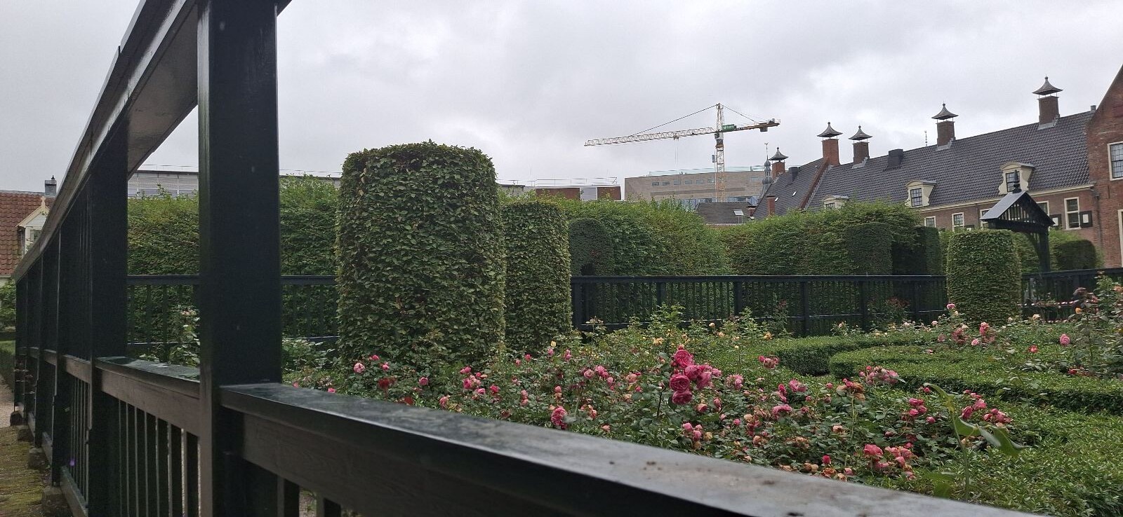 Stadswandeling Groningen