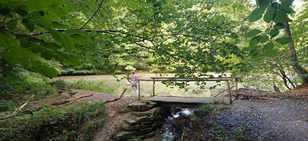 Ravensbosch Va14 Valkenburg aan de Geul