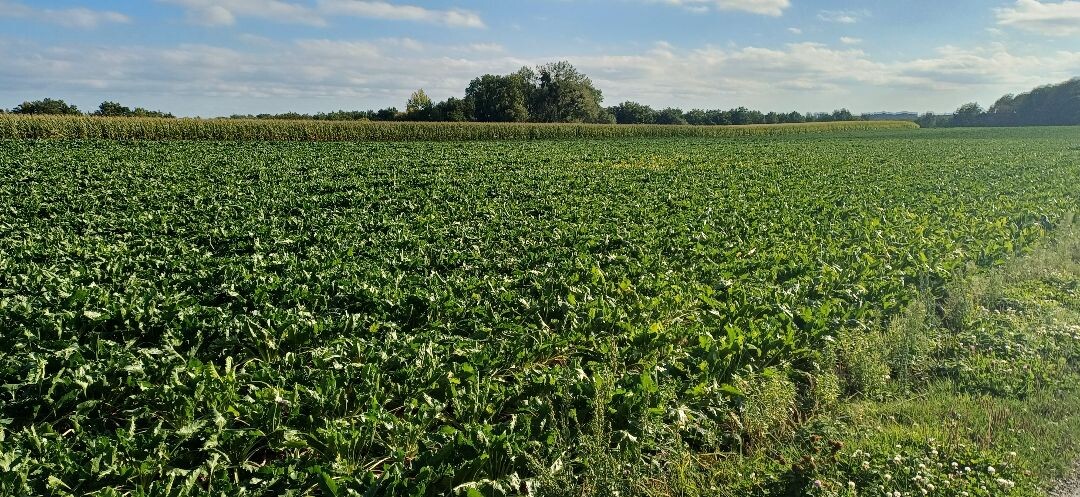 Ravensbosch Va14 Valkenburg aan de Geul