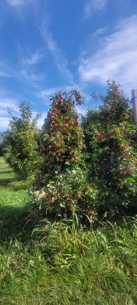 Wandelroute E10 - Eijsden-Margraten - Vakwerkwandeling