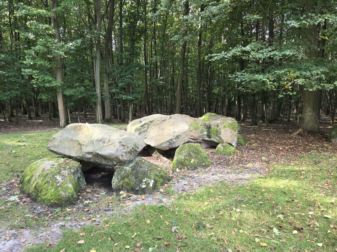 Wandelroute Strubben Kniphorstbosch