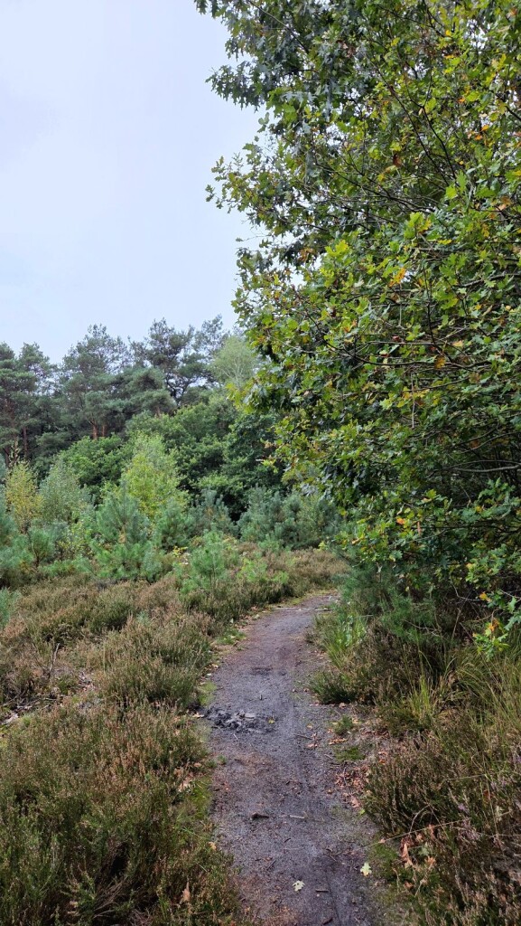 Wandelroute Renneboom