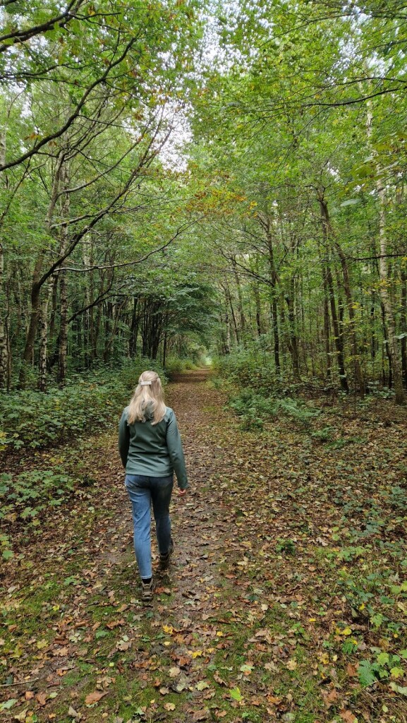 Wandelroute Renneboom