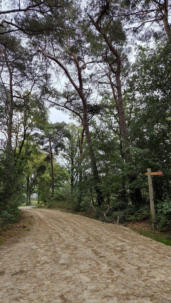 Wandelroute Renneboom