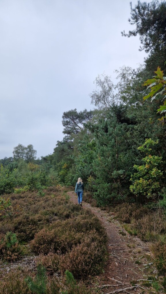 Wandelroute Renneboom