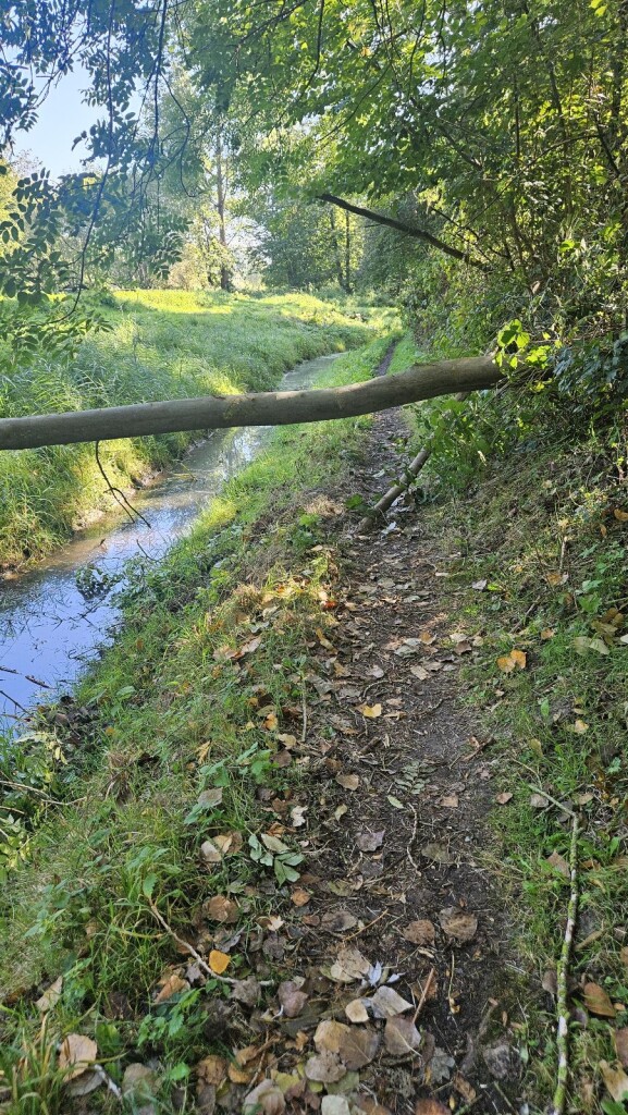 Van Gogh NP wandelroute Nuenen