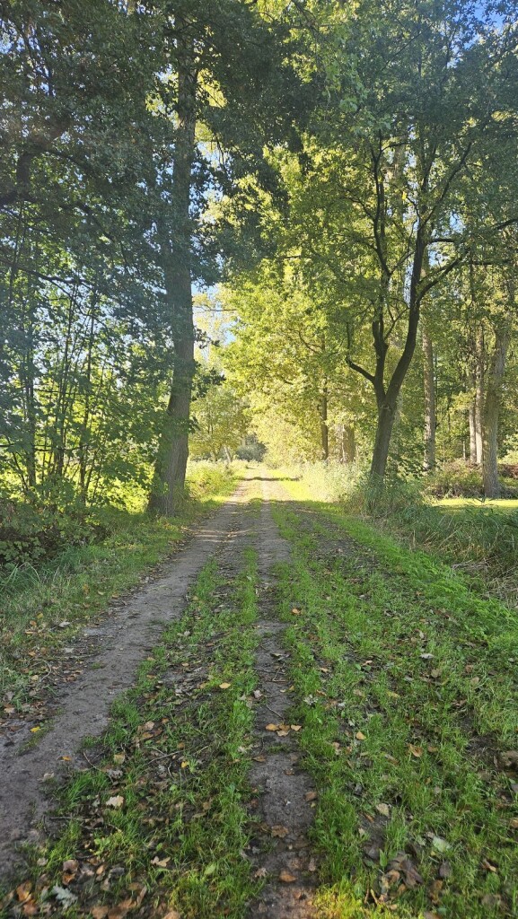 Van Gogh NP wandelroute Nuenen