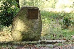 Wandelroute Hoekenbrink
