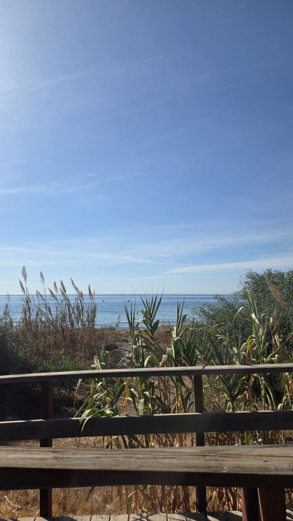 M4DW Dag 3 - Vista - 10km