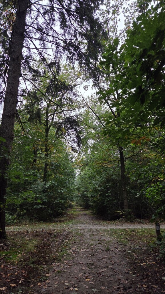 Wandelroute Archeologie Sleenerzand