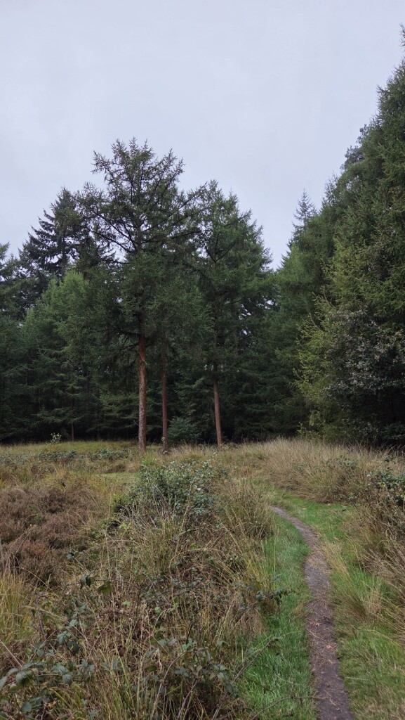 Wandelroute Archeologie Sleenerzand