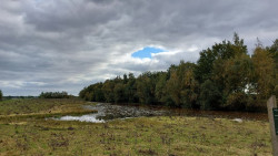 Zuidwolde - Balkbrug · Roots Natuurpad etappe 12