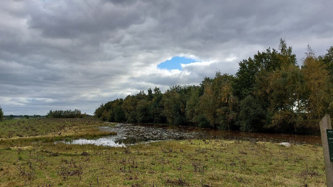 Zuidwolde - Balkbrug · Roots Natuurpad etappe 12