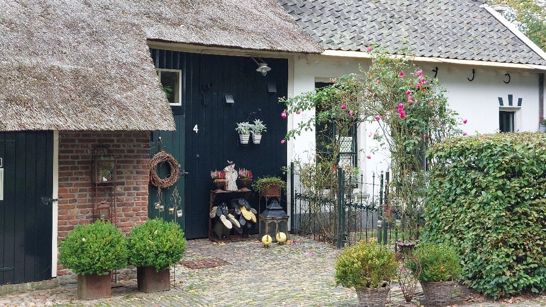 Zuidwolde - Balkbrug · Roots Natuurpad etappe 12