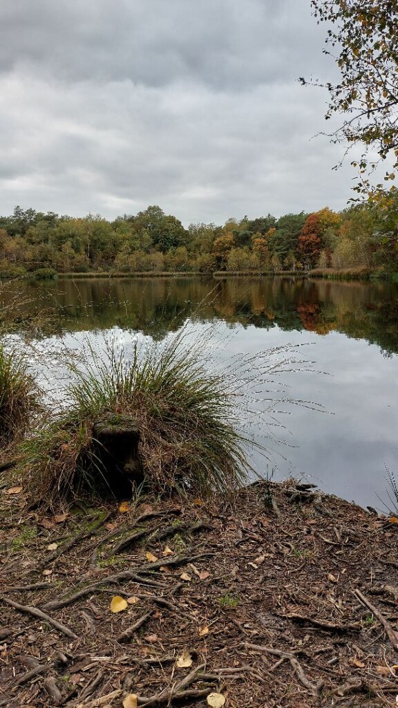 Zuidwolde - Balkbrug · Roots Natuurpad etappe 12
