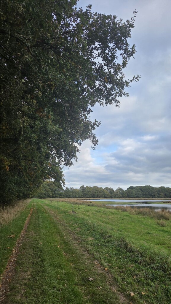 Wandelroute De Klencke