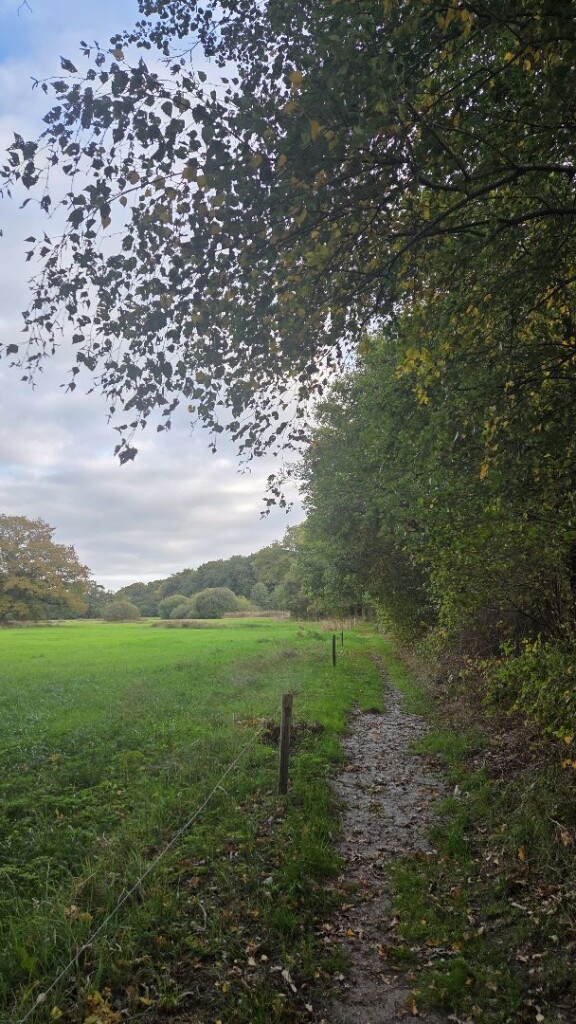 Lange wandelroute De Klencke, vlakbij Emmen