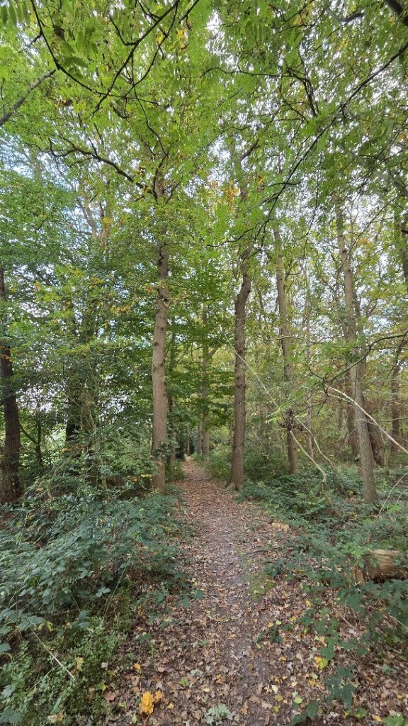 Lange wandelroute De Klencke, vlakbij Emmen