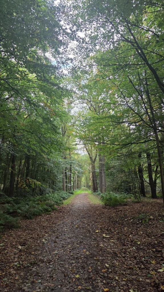 Lange wandelroute De Klencke, vlakbij Emmen