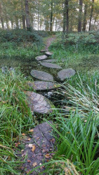 Balkbrug - Holt · Roots Natuurpad etappe 13
