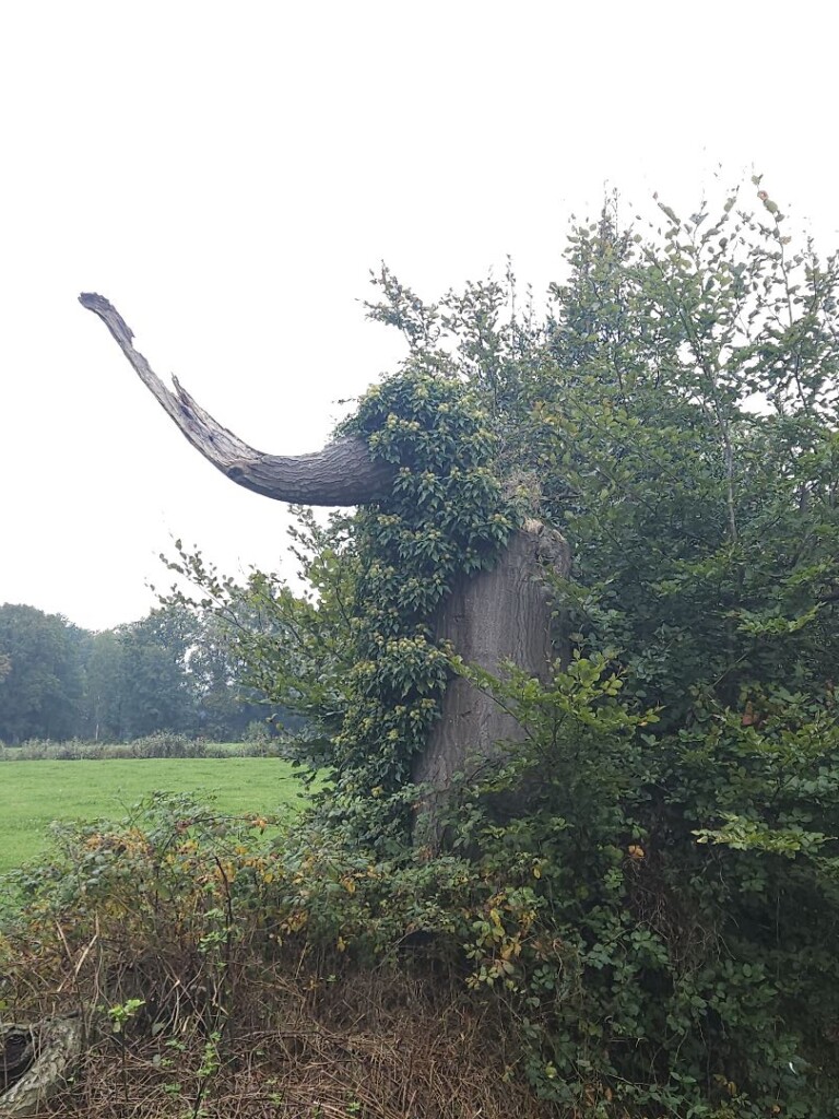 Borne - Delden · Marskramerpad etappe 3