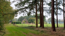 Holt - Heino · Roots Natuurpad etappe 14