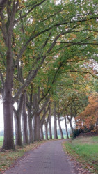 Holt - Heino · Roots Natuurpad etappe 14