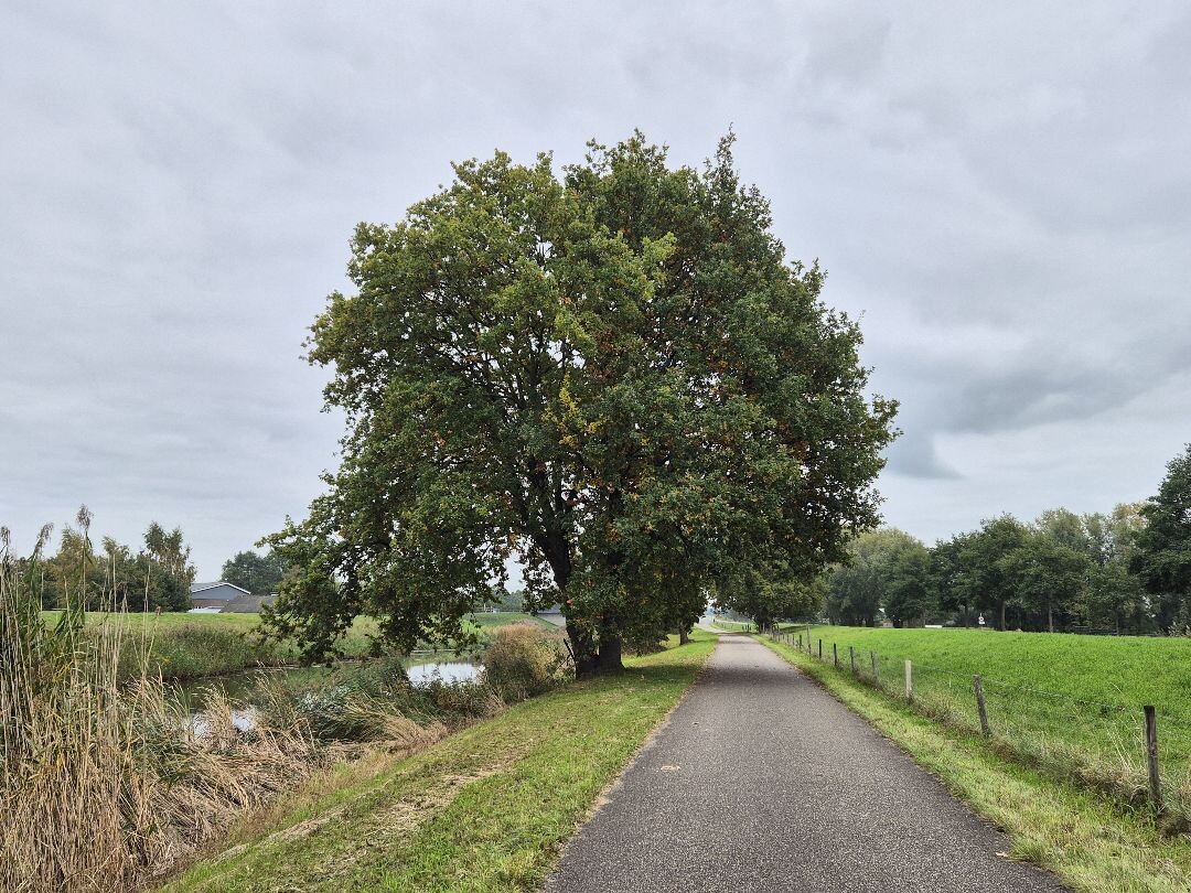 Windesheim - Zwolle (station 150m) · Hanzestedenpad etappe 6