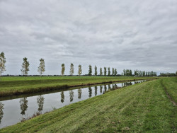 Windesheim - Zwolle (station 150m) · Hanzestedenpad etappe 6