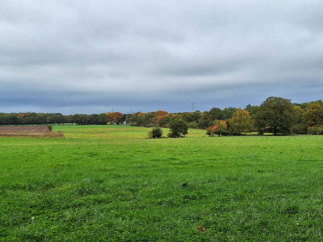 Klompenpad Valckschepad