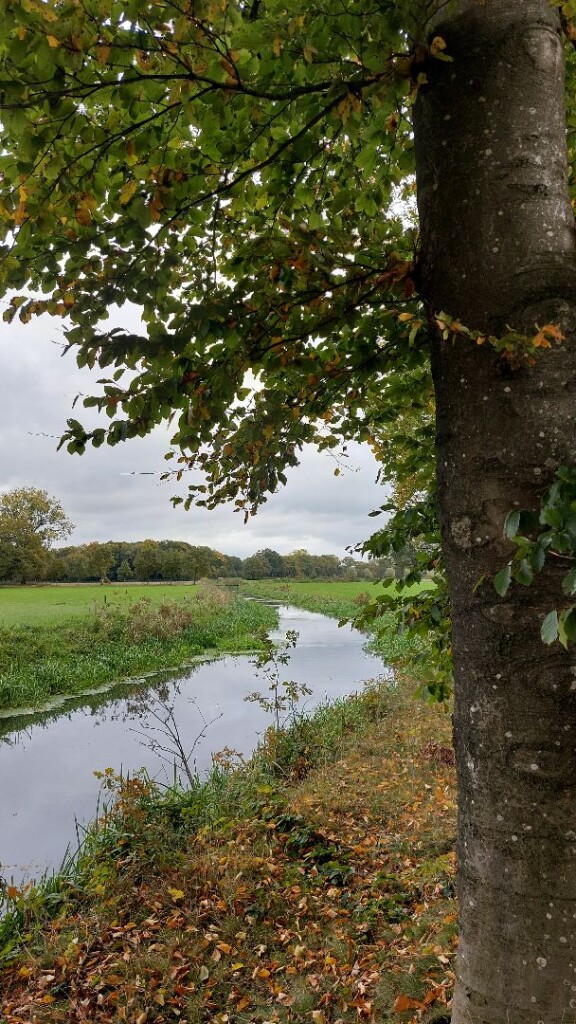 Heino - Wijhe · Roots Natuurpad etappe 15